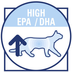 Сухий корм для дорослих котів ROYAL CANIN MOBILITY FELINE 2 кг